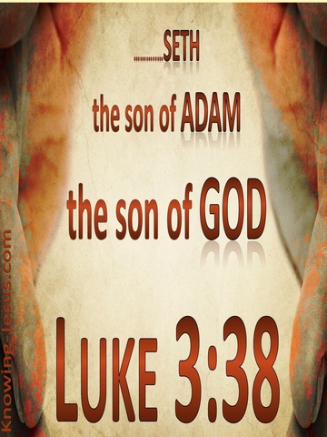 Luke 3:38 Son of Adam Son of God (brown)